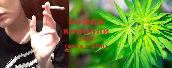 стаф Россошь