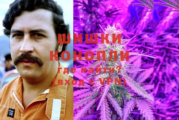 a pvp Белокуриха