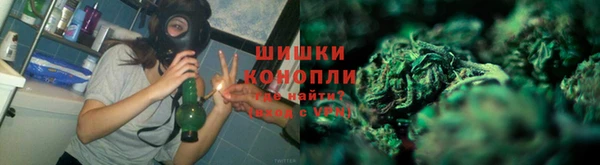 a pvp Белокуриха