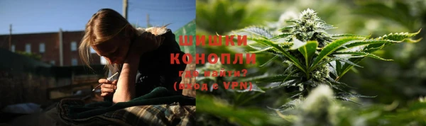 a pvp Белокуриха