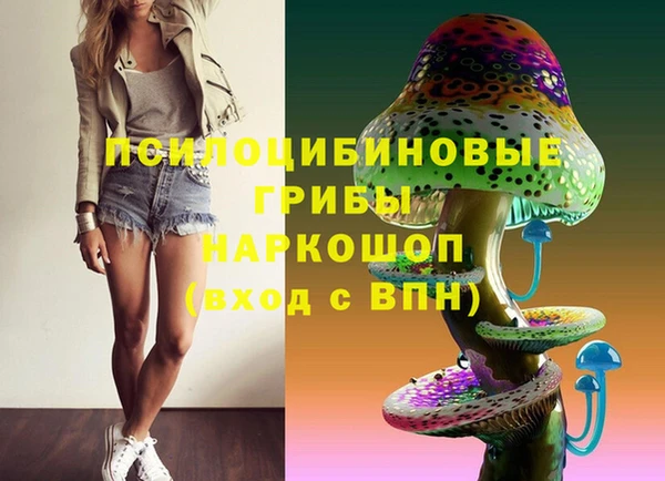 a pvp Белокуриха