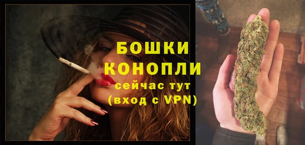 стаф Россошь